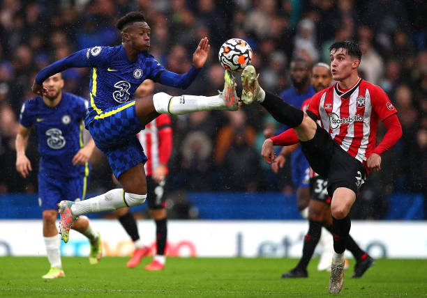 无比的荣幸 无比的荣幸